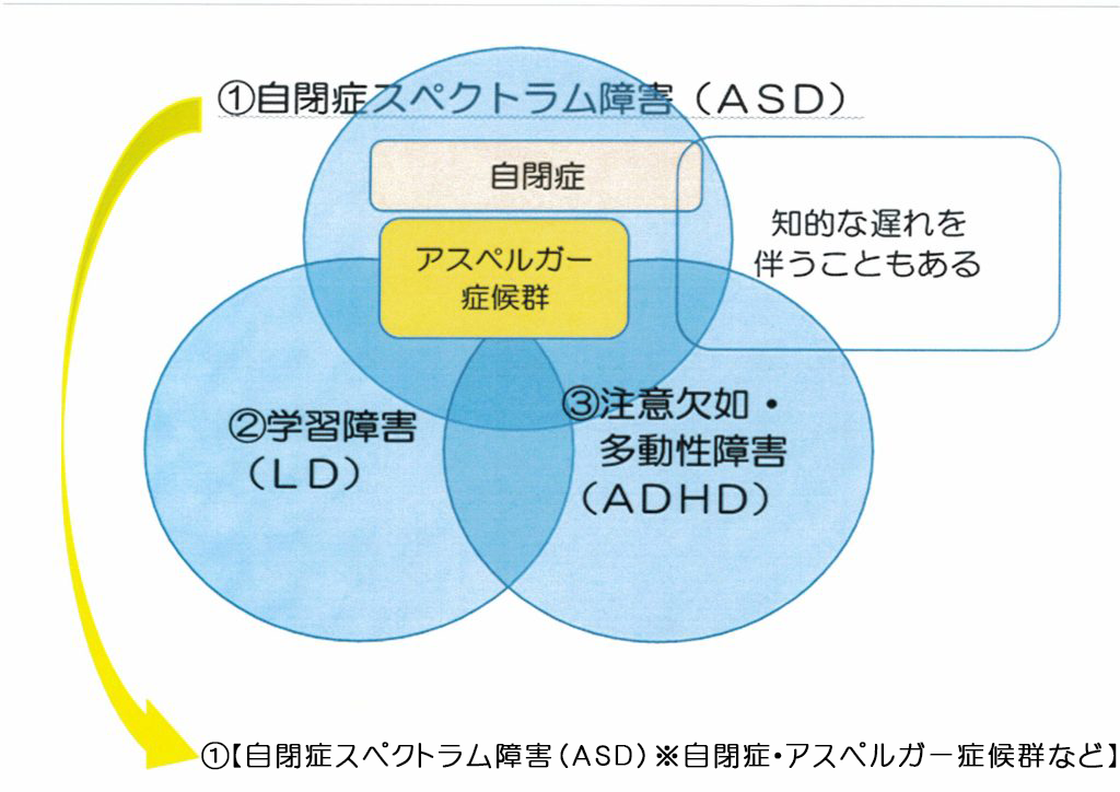 （2） 発達障害（特性のタイプ）①自閉症スペクトラム障害（ASD） | 株式会社ホリスティックコミュニケーション